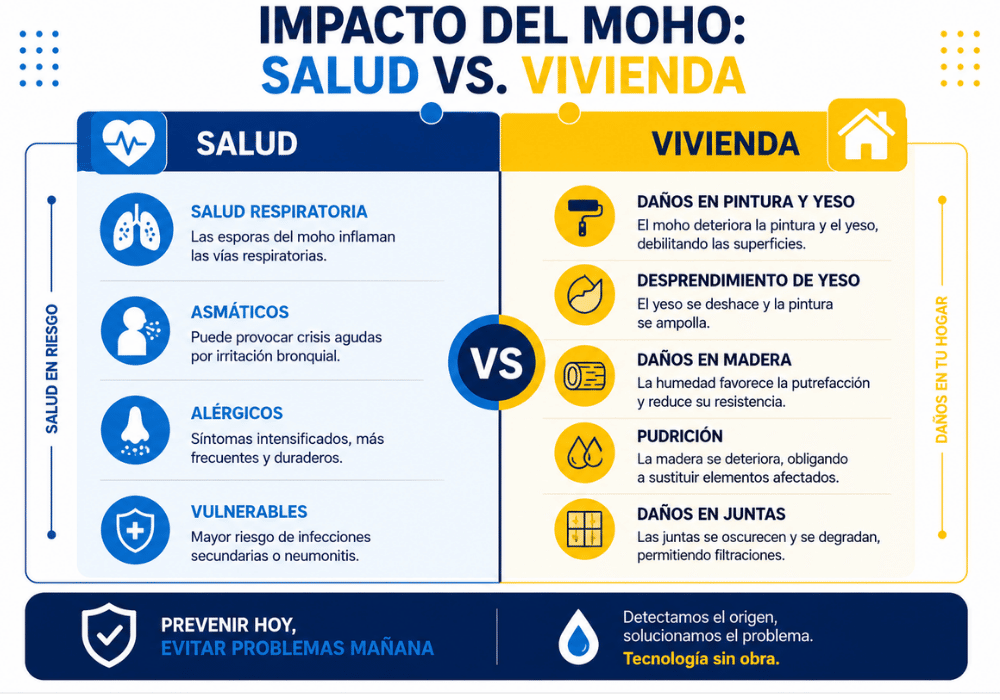 moho en el baño